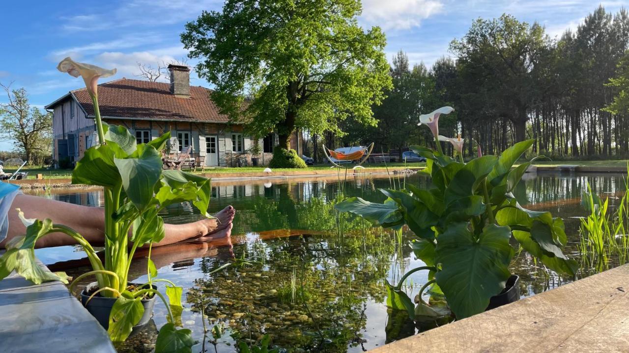 Maison Magnolia Onesse-et-Laharie Exterior foto