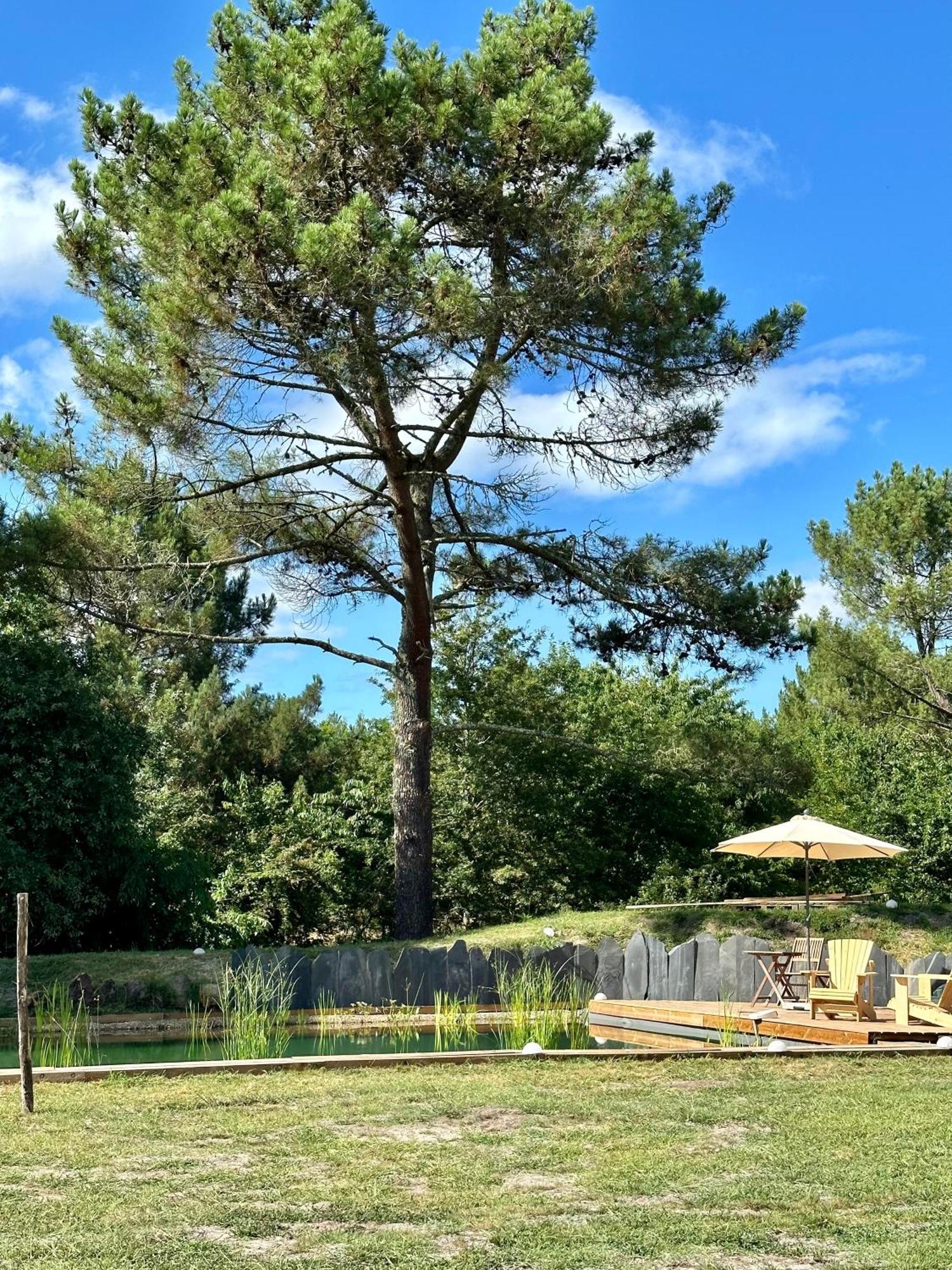 Maison Magnolia Onesse-et-Laharie Exterior foto